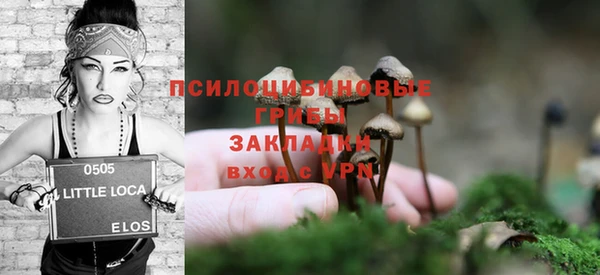 дживик Алексеевка