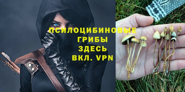 дживик Алексеевка