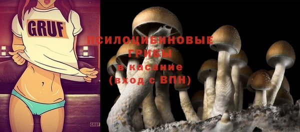 МДПВ Алексин